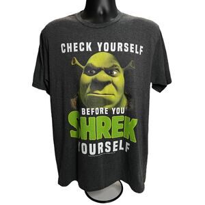 Shrek Graphic T-Shirt - Check Yourself Before You Shrek Yourself Tee, Size Large